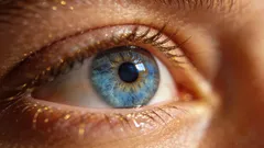 Augenübungen: 5 Techniken für scharfes Sehen und zur Vorbeugung von Ermüdungserscheinungen